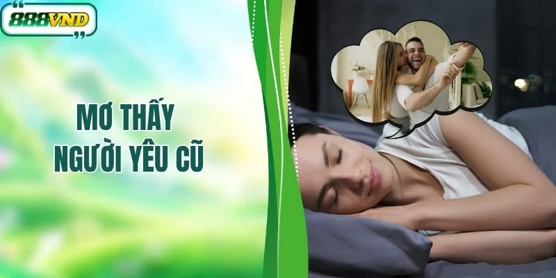 Giải Mã Giấc Mơ Thấy Người Yêu Cũ Đánh Số Gì?
